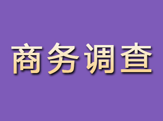 晋源商务调查