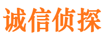 晋源市私家侦探